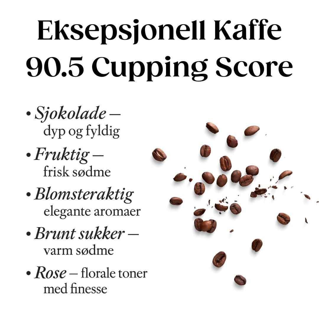 33 Bany – Første Lys (Jemen, Natural)