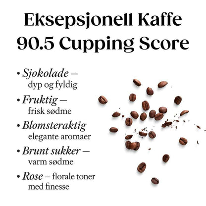 33 Bany – Første Lys (Jemen, Natural)